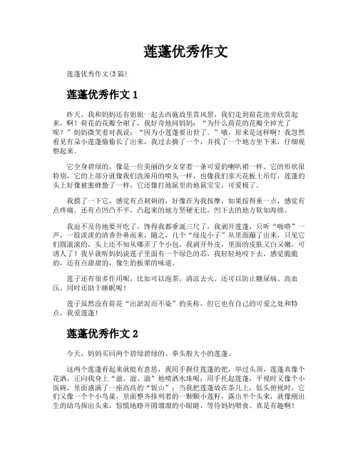 莲蓬优秀作文