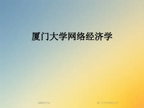 厦门大学网络经济学