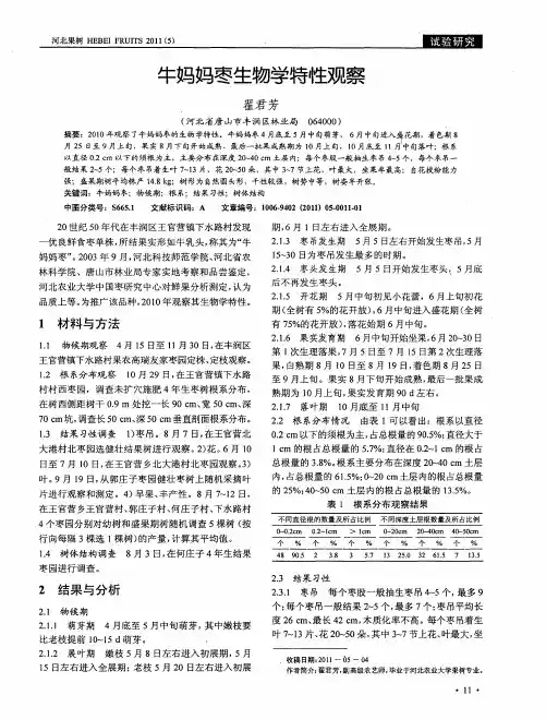 牛妈妈枣生物学特性观察