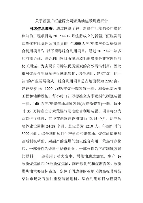 关于新疆广汇焦煤建设调查报告