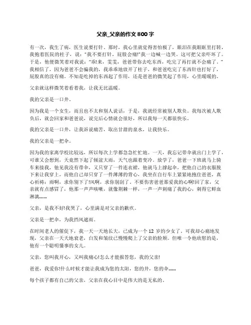 中考作文：我的父亲 (6)