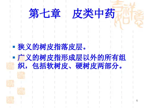 中药鉴定学 皮类中药PPT教学课件