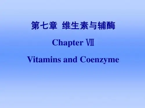 维生素与辅酶
