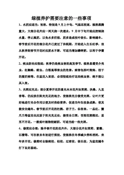 绿植养护需要注意的一些事项