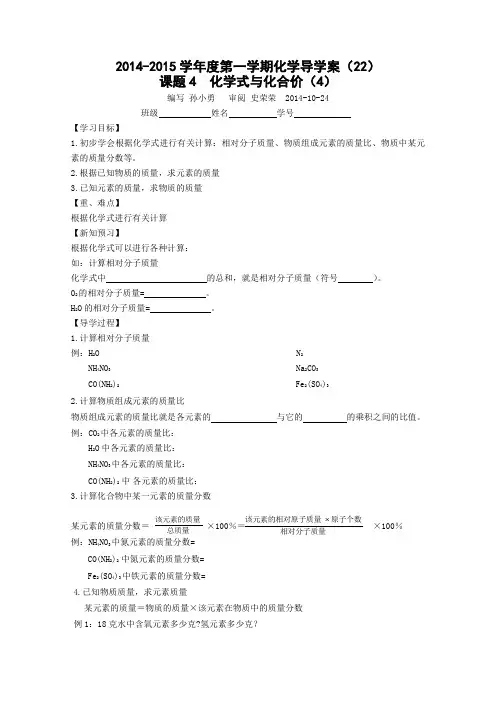 化学式与化合价 第四课时 导学案