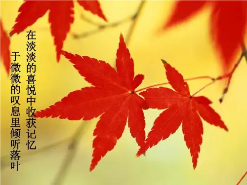 作文修改课件.ppt