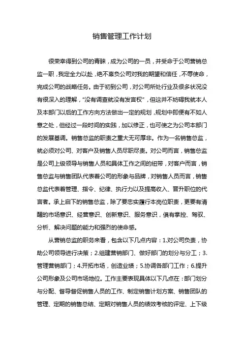 销售总监工作计划