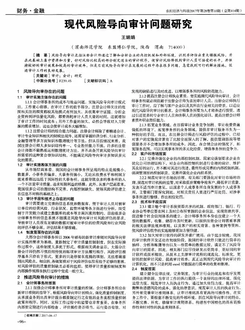 现代风险导向审计问题研究