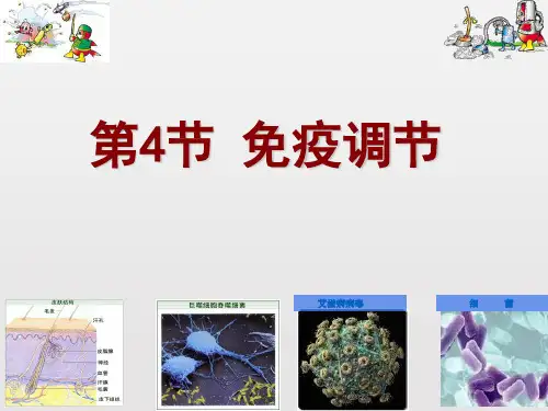 高中生物一轮复习课件-免疫调节