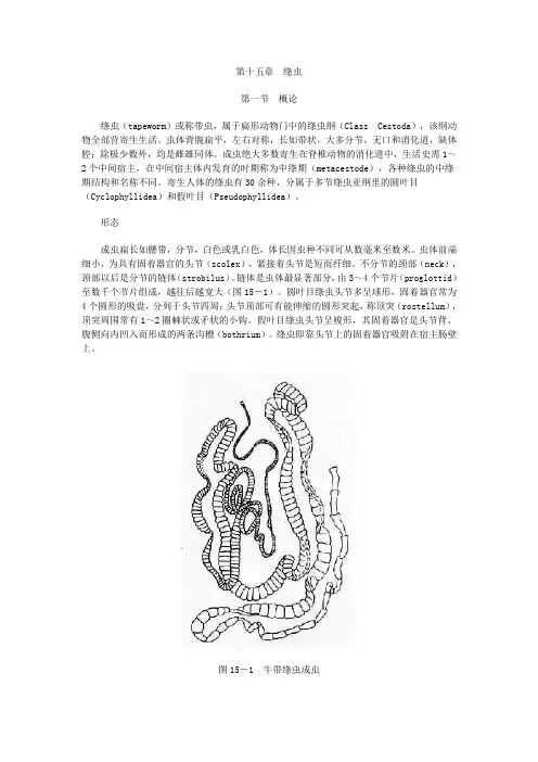 医学绦虫