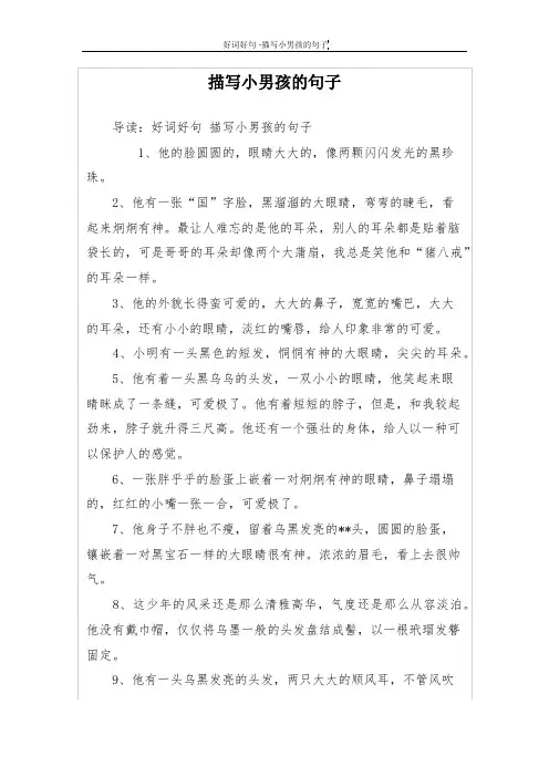 描写小男孩的句子