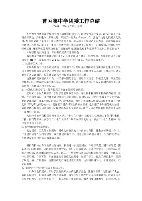 曹叵集中学团委工作总结