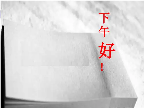人民币银行结算账户管理系统培训