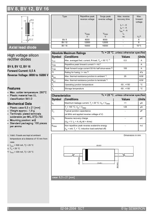 BV12中文资料