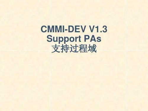 CMMI-DEV V1.3支持过程域