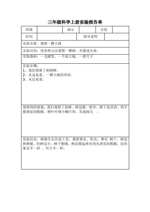 三年级科学上册实验报告单