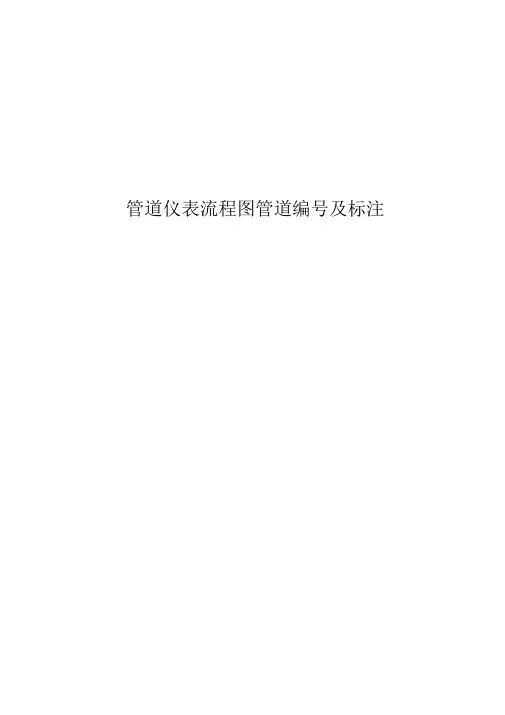 管道仪表流程图管道编号及标注.