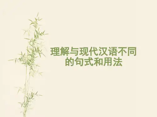 理解与现代汉语不同的句式和用法