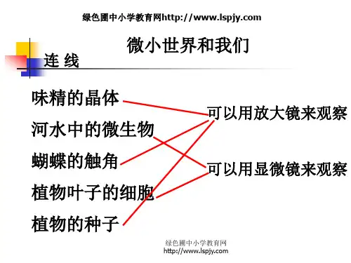 教科版六年级下册科学第一单元《第8课微小世界和我们PPT课件》