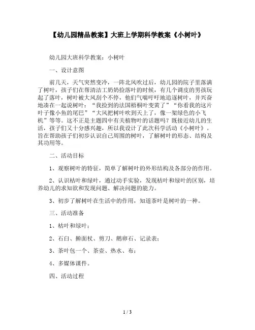 【幼儿园精品教案】大班上学期科学教案《小树叶》