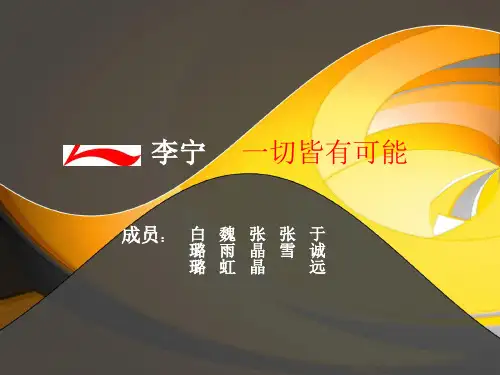 李宁公司的物流分析