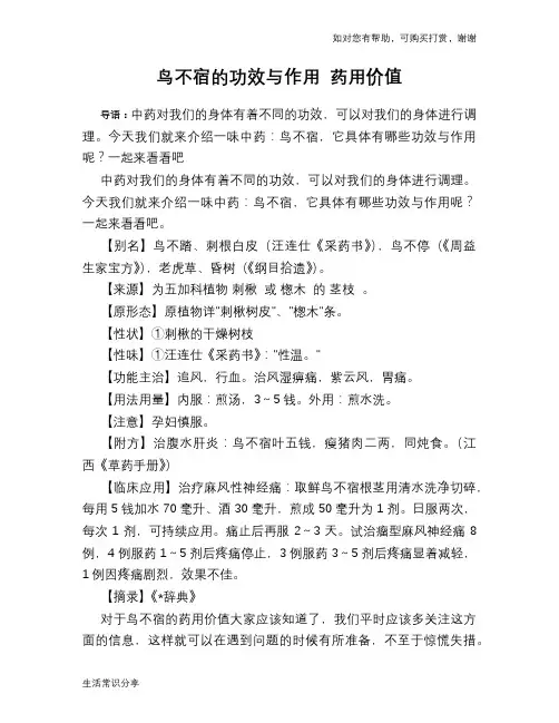 鸟不宿的功效与作用 药用价值