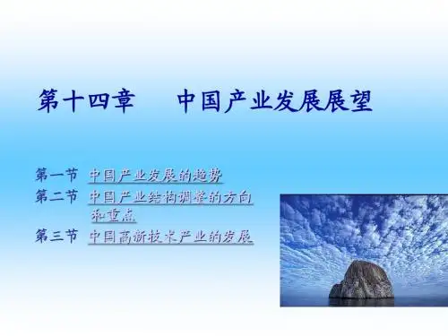 产业经济学14
