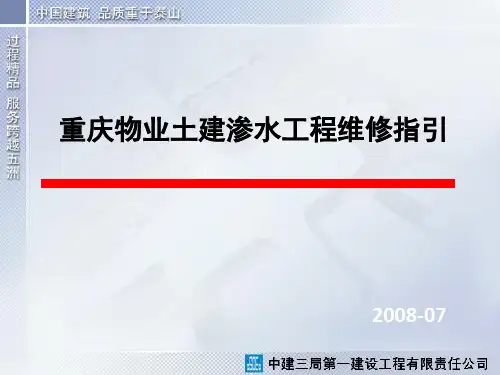 渗水实例及处理方法详解