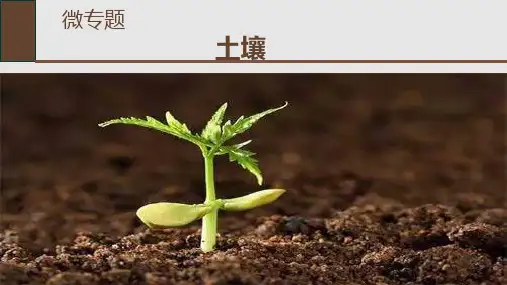 【优质课】宇宙中的地球