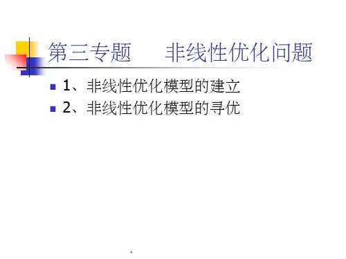 非线性优化问题ppt课件