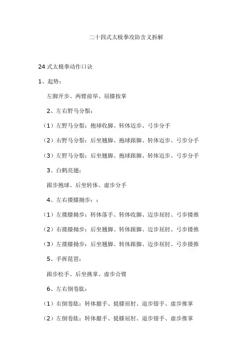 二十四式太极拳攻防含义拆解