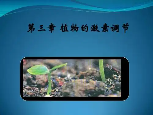 人教版教学教案云南省弥勒县庆来中学2011-2012学年生物必修3 植物激素调节(课件)