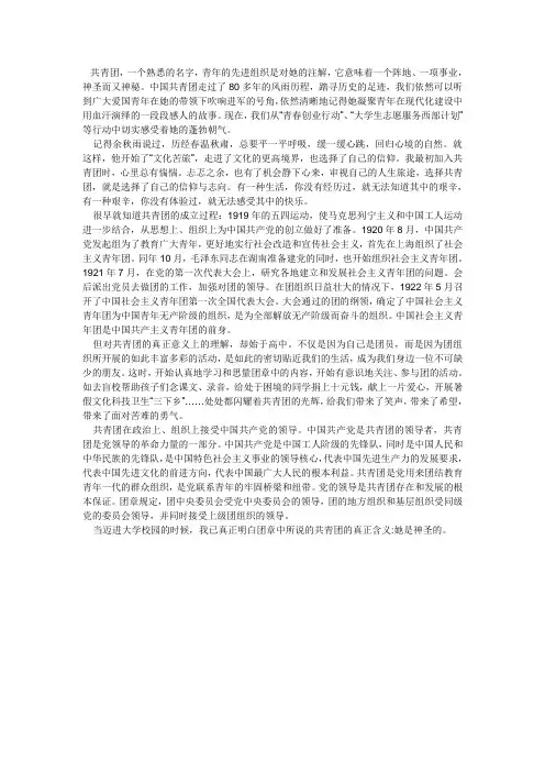 共青团 2