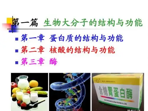 第一章 蛋白质结构与功能