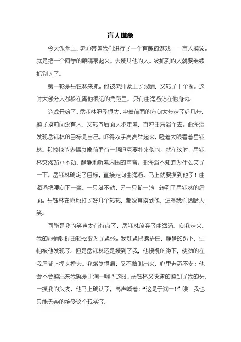 四年级作文：盲人摸象作文600字