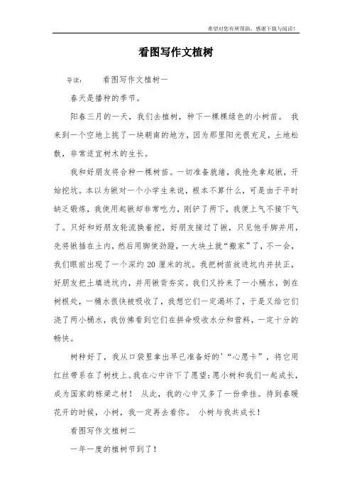 看图写作文植树