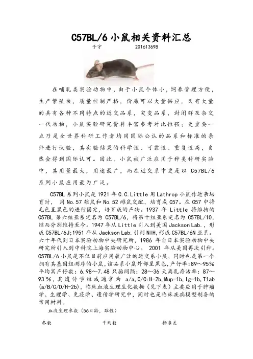 C57BL6小鼠相关概述