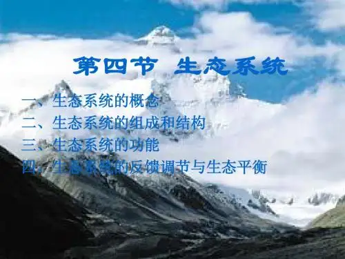 第四节 生态系统