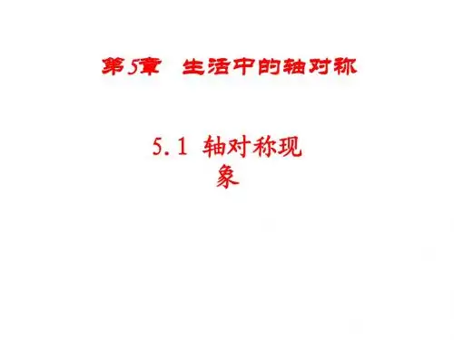 北师大版数学七年级下册课件5.1轴对称现象(共16张PPT)
