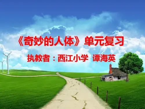奇妙的人体单元复习课件