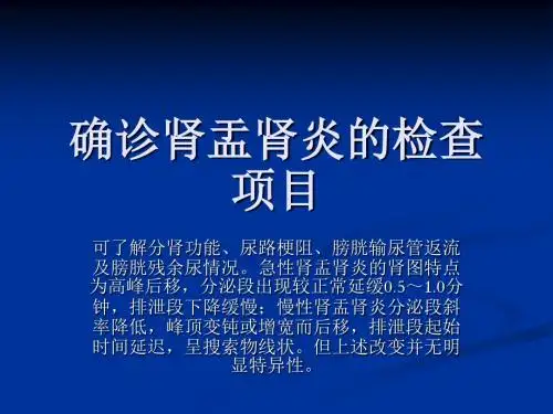确诊肾盂肾炎的检查项目