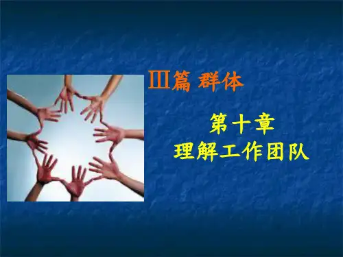 chapter 10 理解工作团队