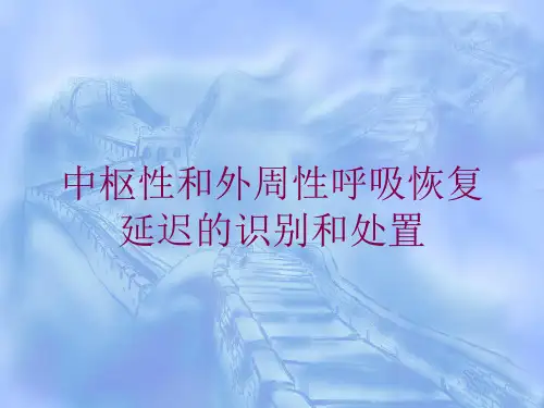 中枢性和外周性呼吸恢复延迟的识别和处置培训课件