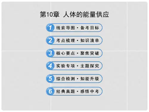 中考生物 第10章 人体的能量供应配套课件 北师大版
