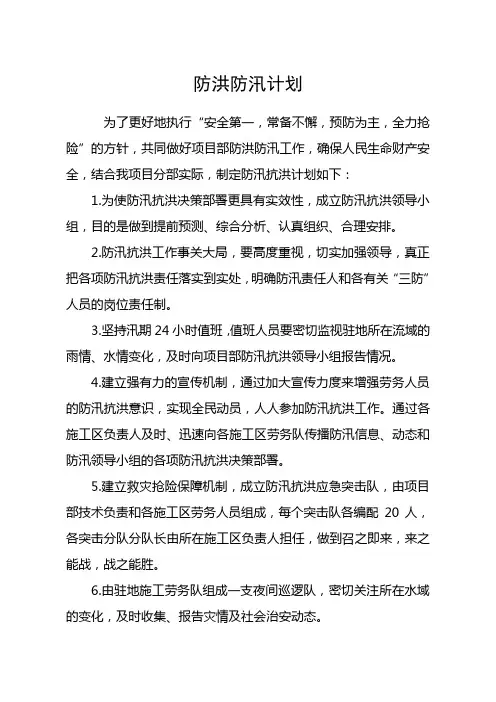 防洪防汛计划