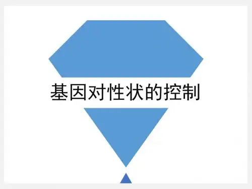 基因对性状的控制