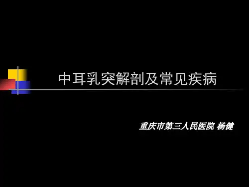 中耳乳突