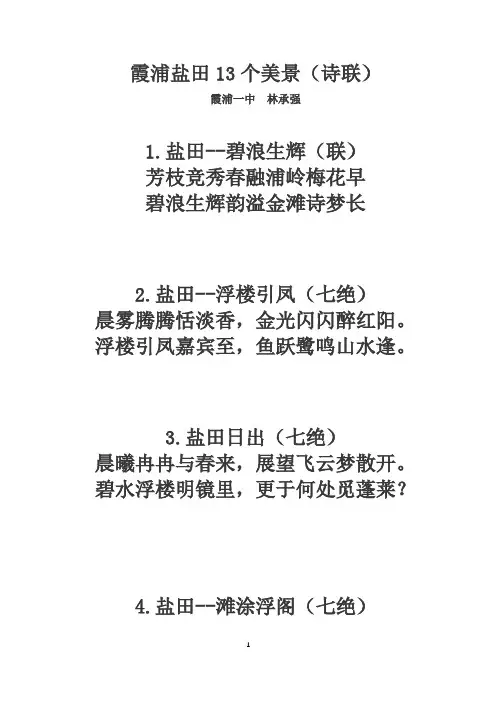 霞浦盐田13个美景(诗联)