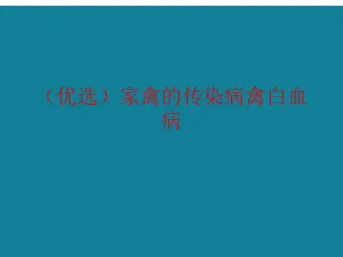 (优选)家禽的传染病禽白血病