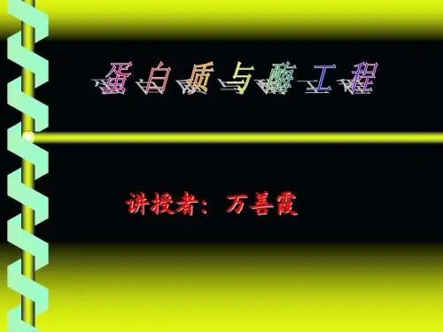 第一章绪论